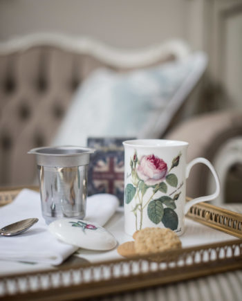 Taza de porcelana con infusor