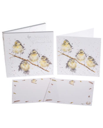 Kit de tarjetas y sobres de pajaros
